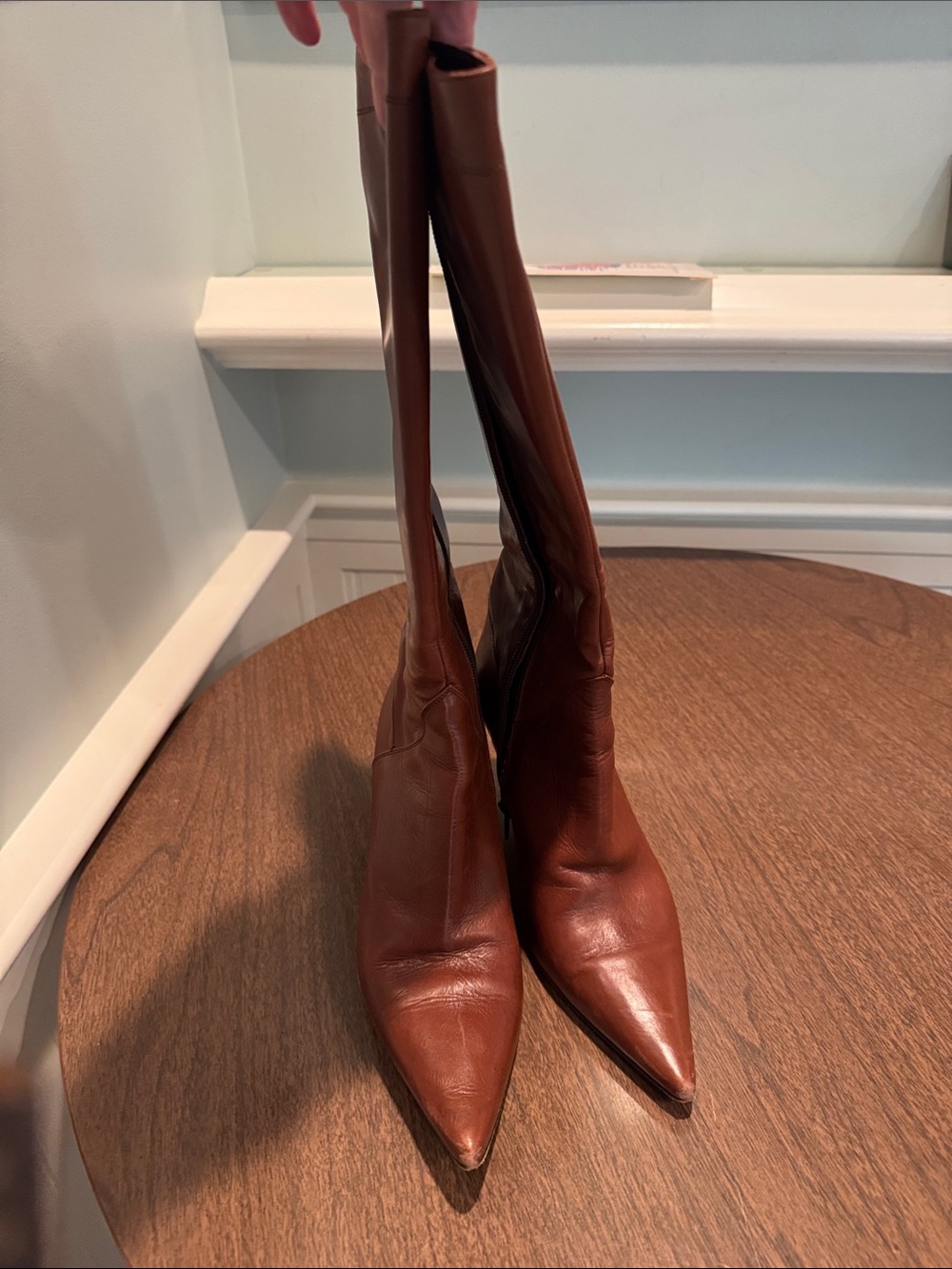 Charles David Tall Pointed-Toe Leather Boots in Brown